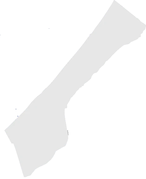 Aankomst en distributie