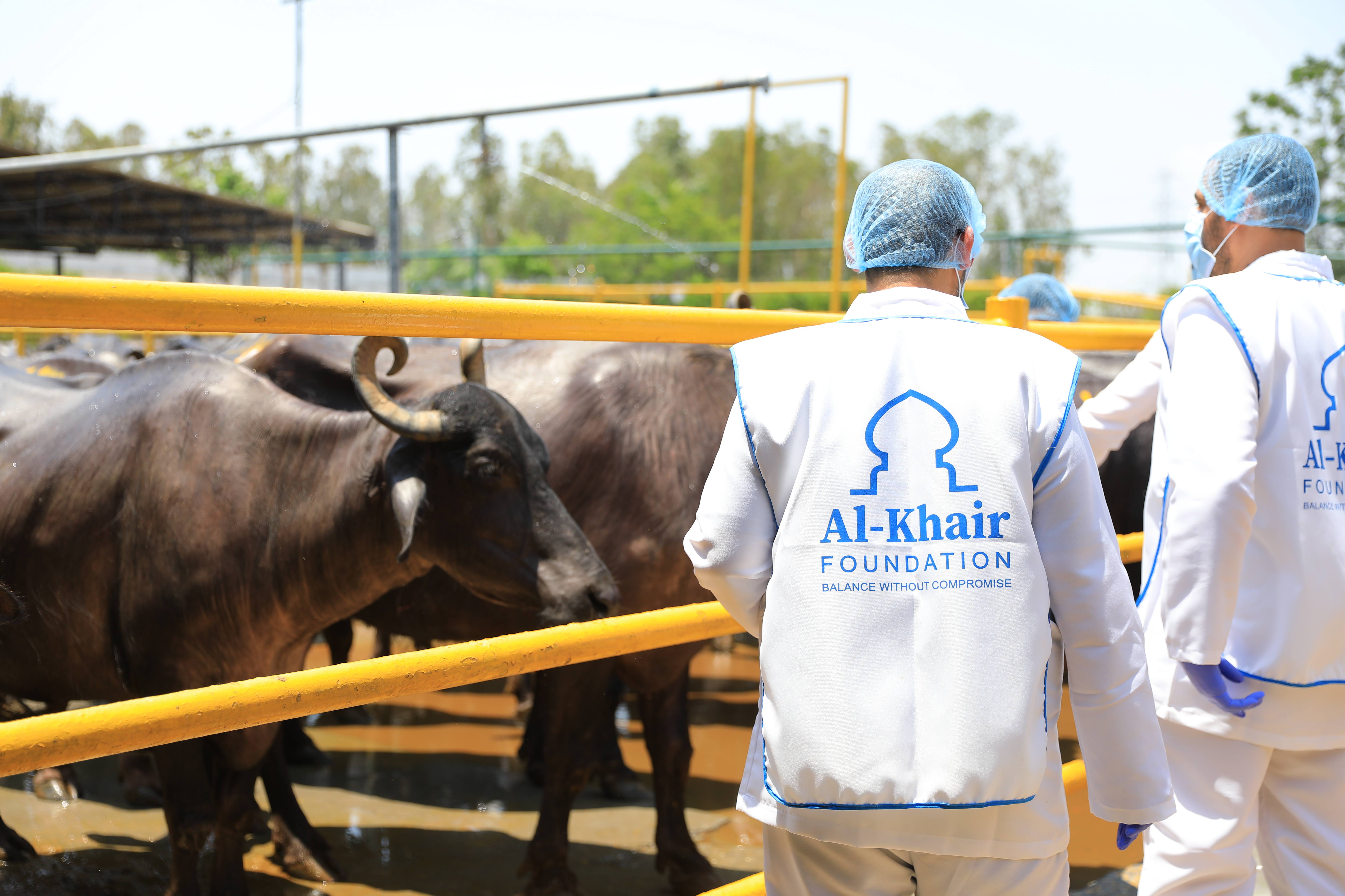 Wanneer opoffering verandert in barmhartigheid: de ware betekenis van Qurbani