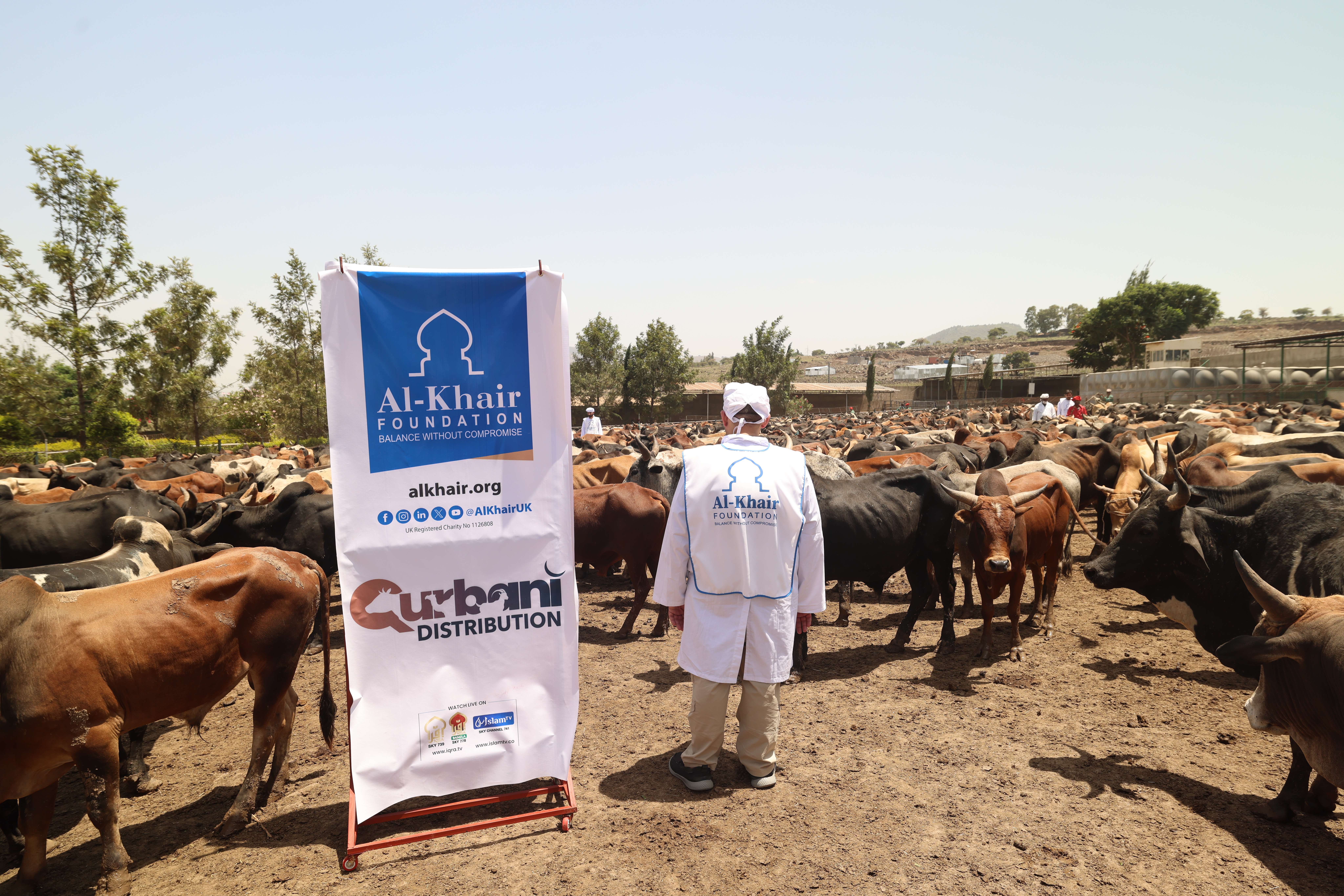 Van elke Qurbani… een verhaal van waardigheid dat behouden blijft